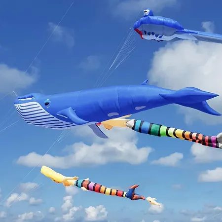 Apartment Coeur De Nº2 Dieppe