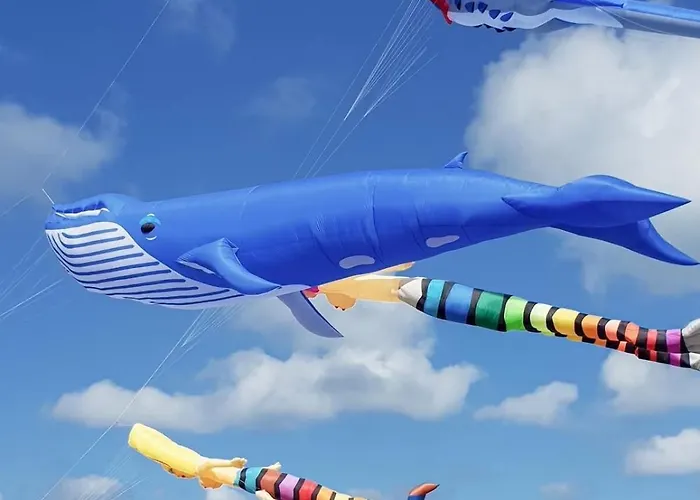 Apartament Coeur De Nº2 Dieppe